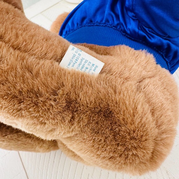 Trudy Teddy Bear NFL Seattle Seahawks Team Plush Stuffed Animal 14" Vintage 80s - Picture 5 of 8